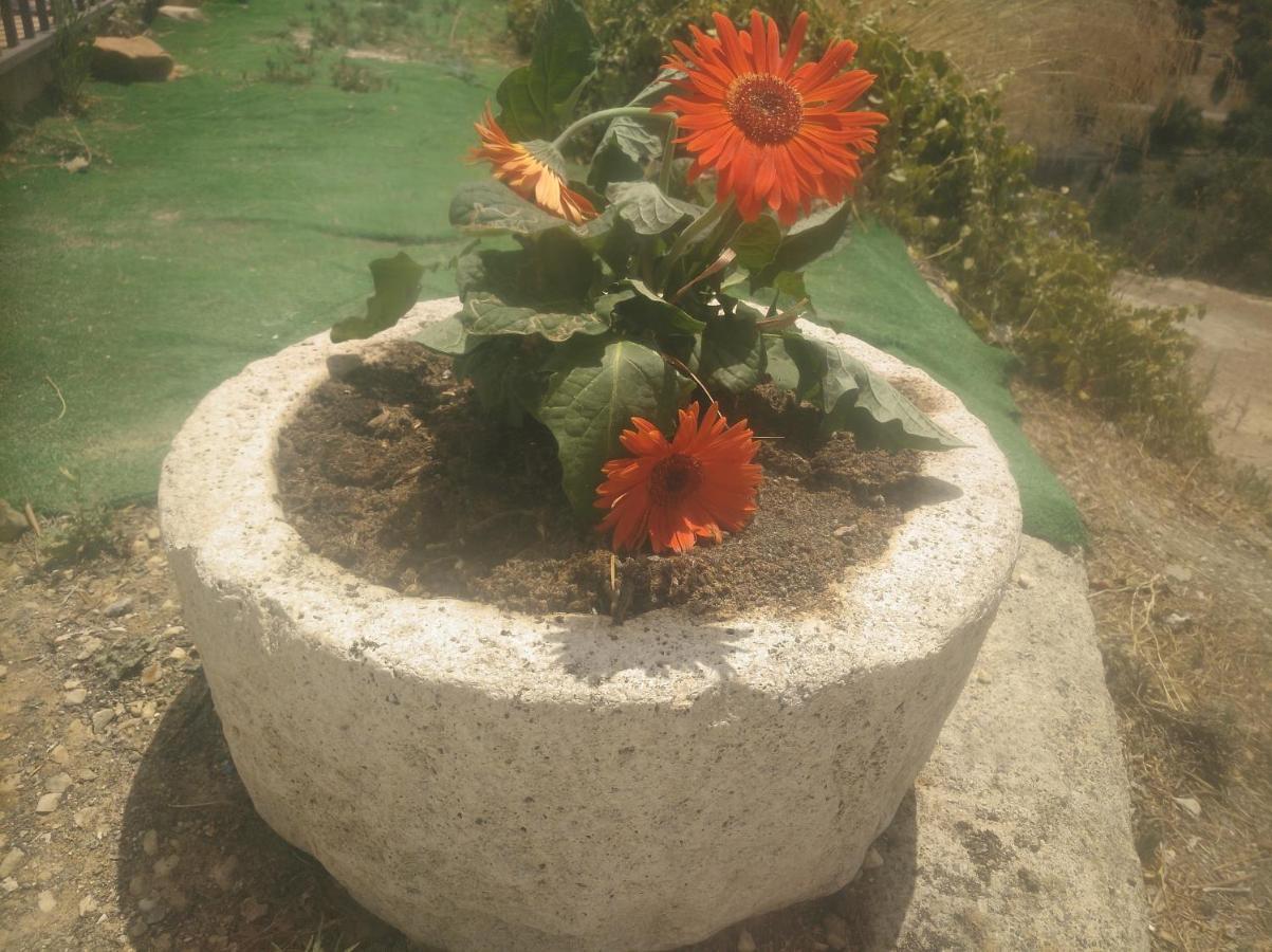 Alojamiento Rural El Yate Villa Montefrio Bagian luar foto